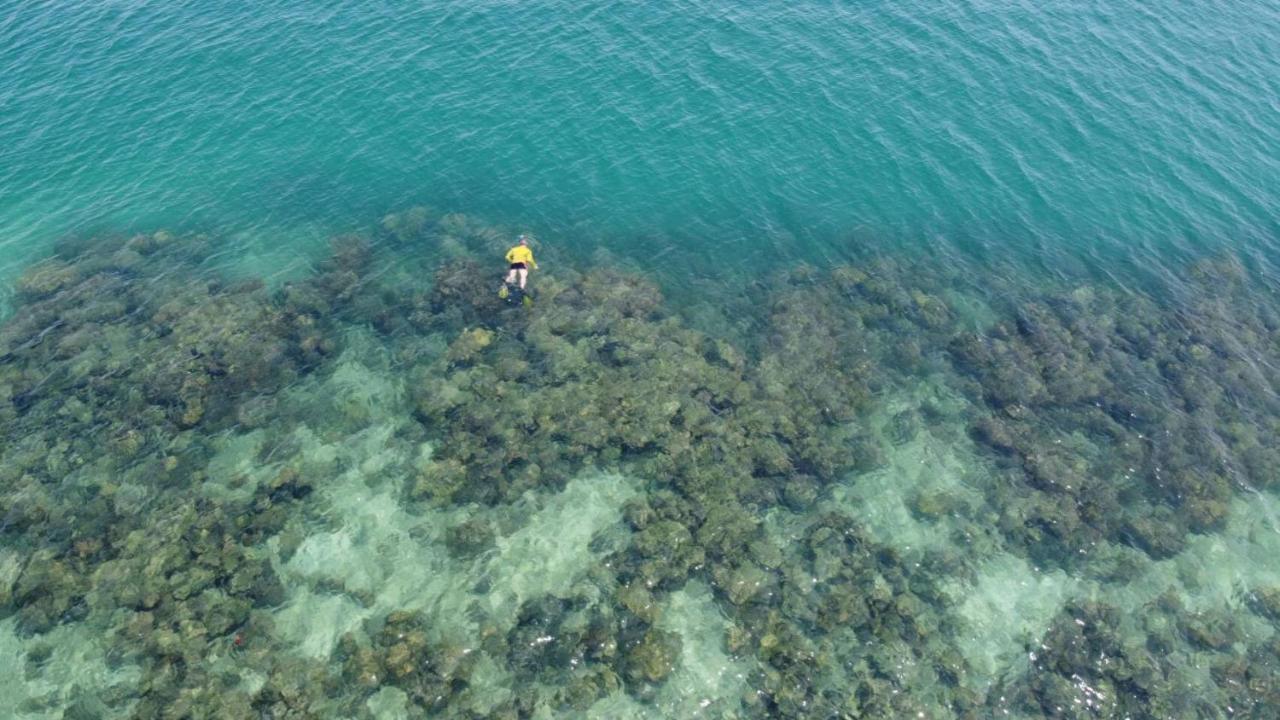 Koh Ngai Kaimuk Thong Resort Dış mekan fotoğraf